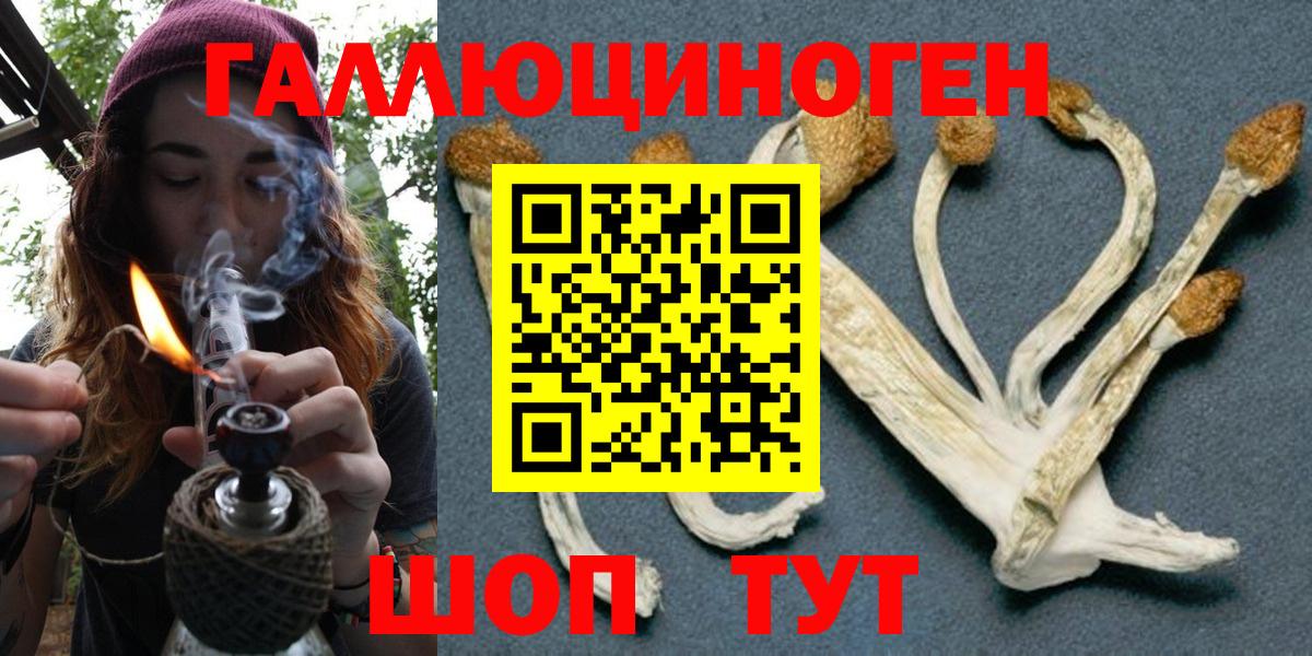 Псилоцибиновые грибы Cubensis Павловский Посад